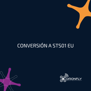 conversion categoria especifica sts europeo